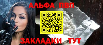 бошки Кингисепп