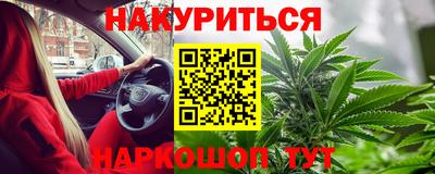 бошки Кингисепп