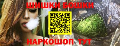 бошки Кингисепп
