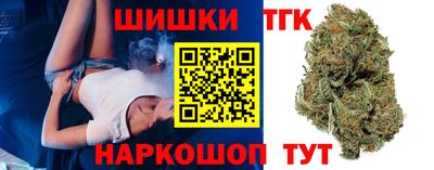 бошки Кингисепп