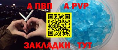 бошки Кингисепп