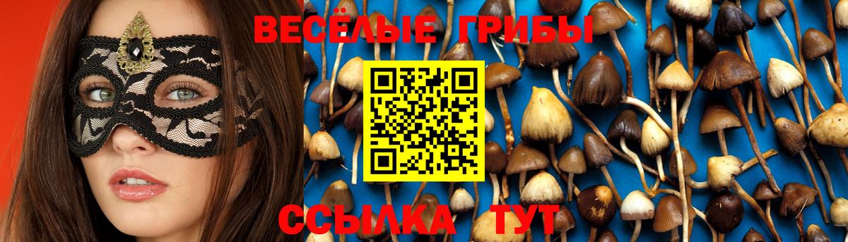Галлюциногенные грибы Psilocybine cubensis  Вход с VPN  Псилоцибиновые грибы мухоморы  Уссурийск 